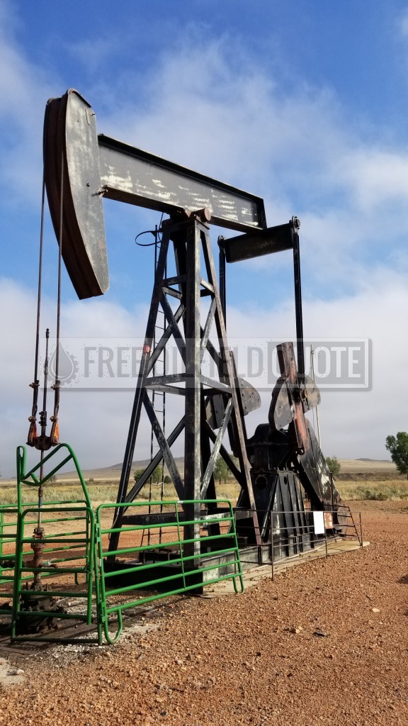 Parkersburg 20-G456DNL-36.5B5 Pumping Unit